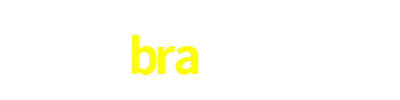 bra500